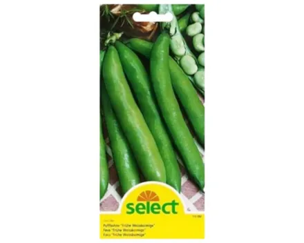 Select Puffbohne Frühe Weisskeimige