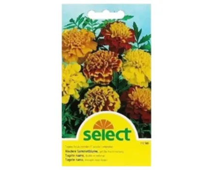 Select Sammetblume Gefüllte Mischung