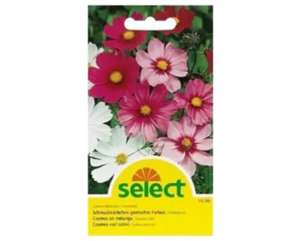 Select Schmuckkörbchen gemischt