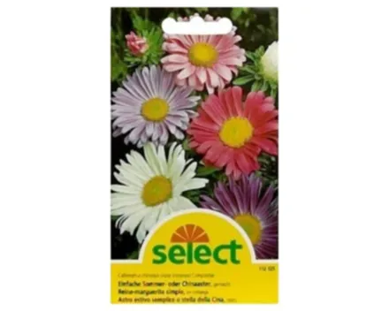 Select Sommeraster einfach