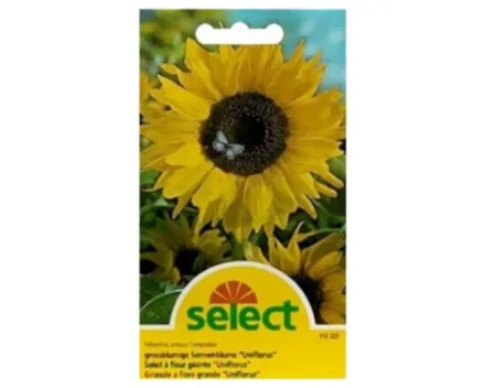 Select Sonnenblume Grossblumig