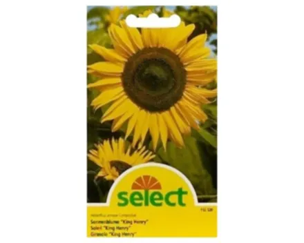 Select Sonnenblume King Henry