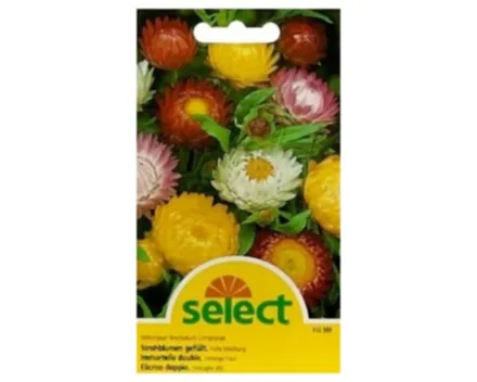 Select Strohblumen gefüllt