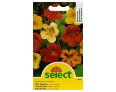 Select Tropaeolum Samen | Majus Mischung
