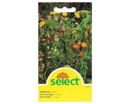 Select Wildblumenmischung
