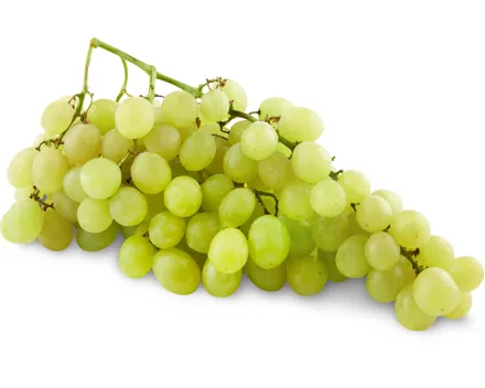 Sélection Trauben Uva Italia