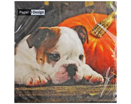 Servietten Autumn Dog 33cm 20S Stück