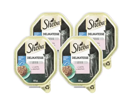Sheba Delicatesse Katzenfutter in Gelee Lachs MSC 4x 85g