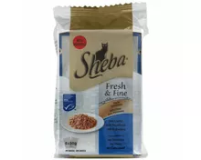 Sheba Fresh & Fine Fisch 6x50g