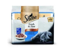 Sheba Katzenfutter in Sauce Fresh & Fine Fisch 15x50g