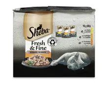 Sheba Katzenfutter in Sauce Fresh & Fine Geflügel 15x50g