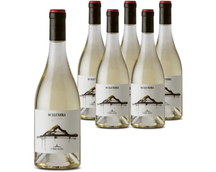 Sicilia Carricante Bianco Torre Mora 6x 75cl (2023) – Weisswein, Italien (0.75l)