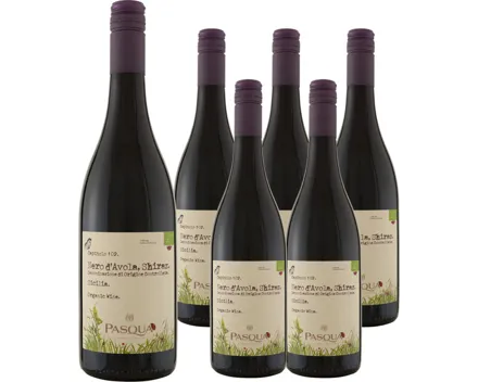 Sicilia DOC Nero Avola/Shiraz Pasqua 6x 75cl (2024) – Rotwein, Italien (0.75l)