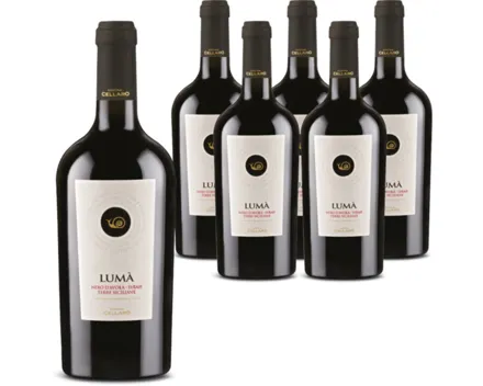 Sicilia DOC Nero d'Avola Syrah Lumà Cantine Cellaro 6x 75cl (2024) – Rotwein, Italien (0.75l)