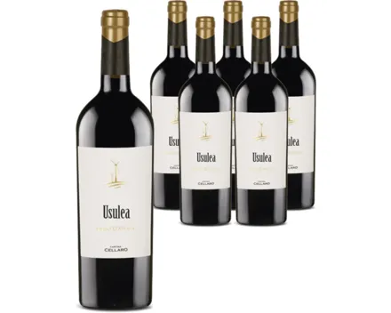 Sicilia DOC Nero d'Avola Usulea Cantine Cellaro 6x 75cl (2024) – Rotwein, Italien (0.75l)