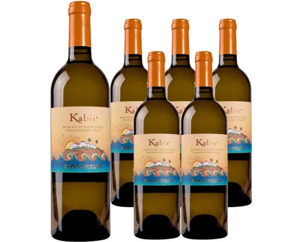 Sicilia DOC Zibibbo Moscato di Pantelleria Donnafugata 6x 75cl (2024), Italien (0.75l)