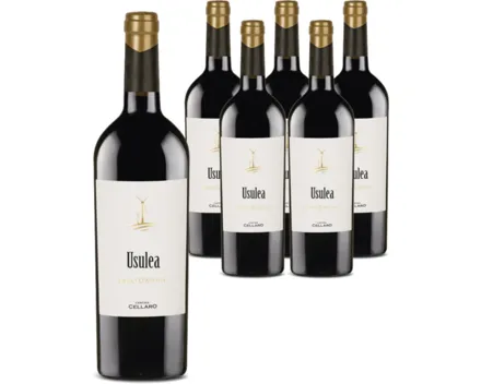 Sicilia Nero d’Avola Cantine Cellaro 6x 75cl (2022) – Rotwein, Italien (0.75l)