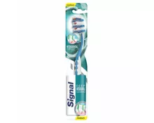 Signal Zahnbürste Interdental Expert medium