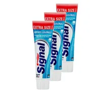 Signal Zahnpasta Micro-Granuli 3x 100ml