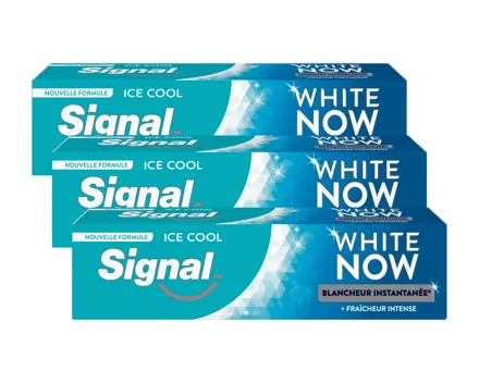 Signal Zahnpasta White Now