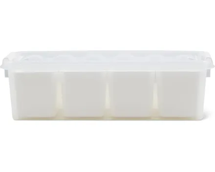 Smart Store Classic Aufbewahrungsbox mit Deckel