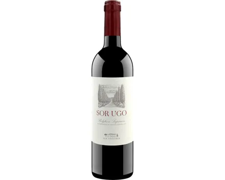 Sor Ugo Bolgheri Superiore (2023) – Rotwein, Italien (0.75l)