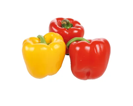SPAR Natural Bio Peperoni Mix