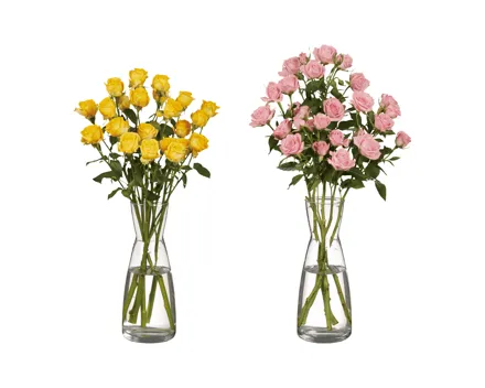 Sprayrosen