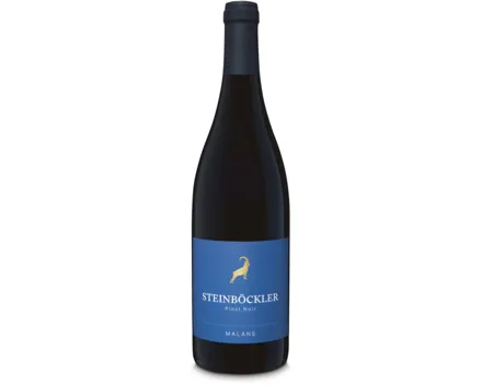 Steinböckler Pinot Noir Malans AOC (2023) – Rotwein, Schweiz (0.75l)