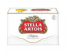 Stella Artois Bier 24x33cl