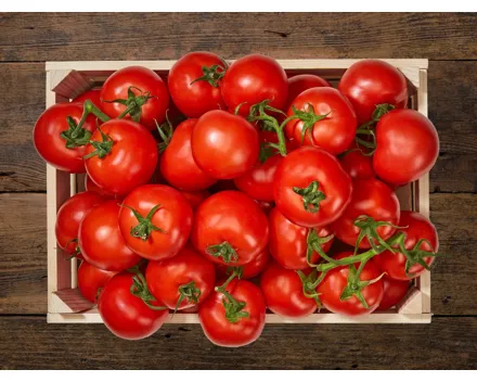 Strauchtomaten