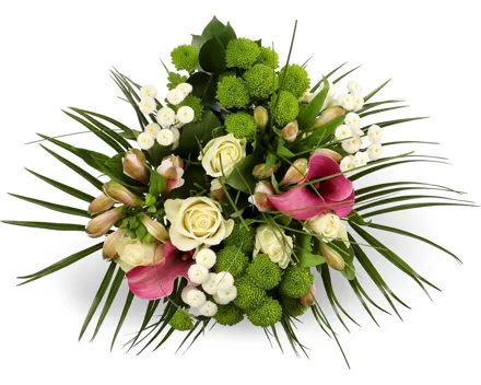 Strauss Surprise Maxi