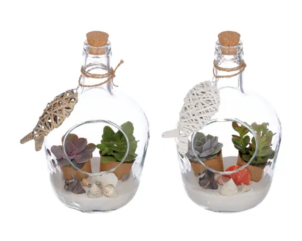 Sukkulenten in Glasflasche