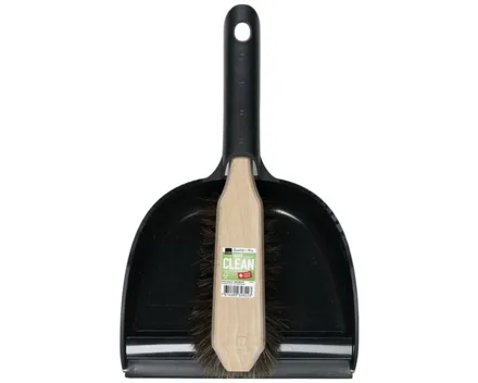 Super Clean Handwischer FSC mit Kehrschaufel