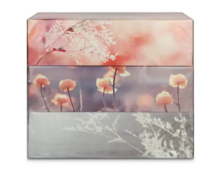 Super Silk Soft mit Baumwolle Box 3x80 Stück