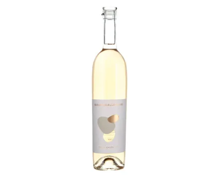 Susumaniello Rosato IGB (2025) – Roséwein, Italien (0.75l)