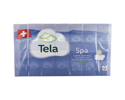 Tela Taschentücher 42x10 Stück