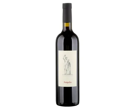 Ticino DOC Merlot Ampelio Carlevaro (2018) – Rotwein, Schweiz (0.75l)