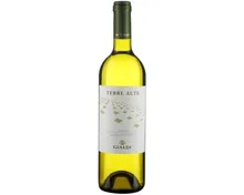 Ticino DOC Merlot Bianco Terre Alte