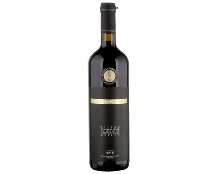 Ticino DOC Merlot Cuvée Speciale Valsangiacomo (2020) – Rotwein, Schweiz (0.75l)