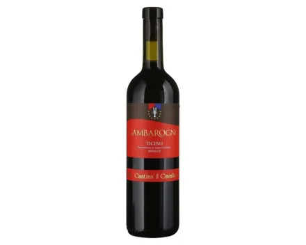 Ticino DOC Merlot Gambarogno (2023) – Rotwein, Schweiz (0.75l)