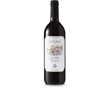 Ticino DOC Merlot Roccolo