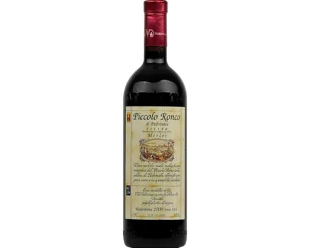 Ticino DOC Merlot Ronco (2019) – Rotwein, Schweiz (0.75l)