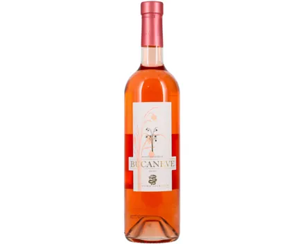 Ticino DOC Merlot Rosato Bucaneve (2024) – Roséwein, Schweiz (0.75l)