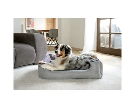 Tierbett Magic