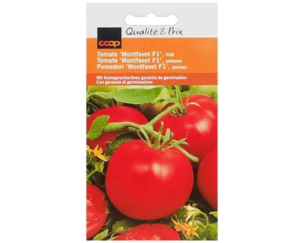 Tomate Montfavet früh