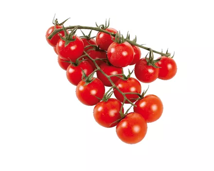 Tomaten Cherry Rispen