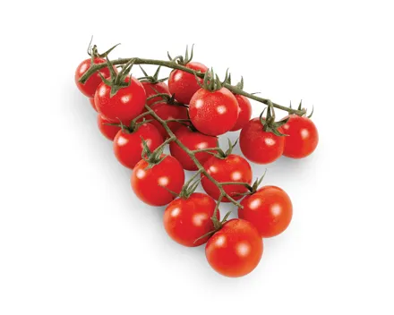 Tomaten Cherry Rispen