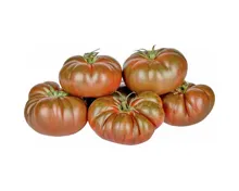 Tomaten Consabor ca. 500g