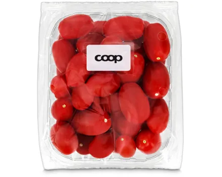 Tomaten Dattel Perla
